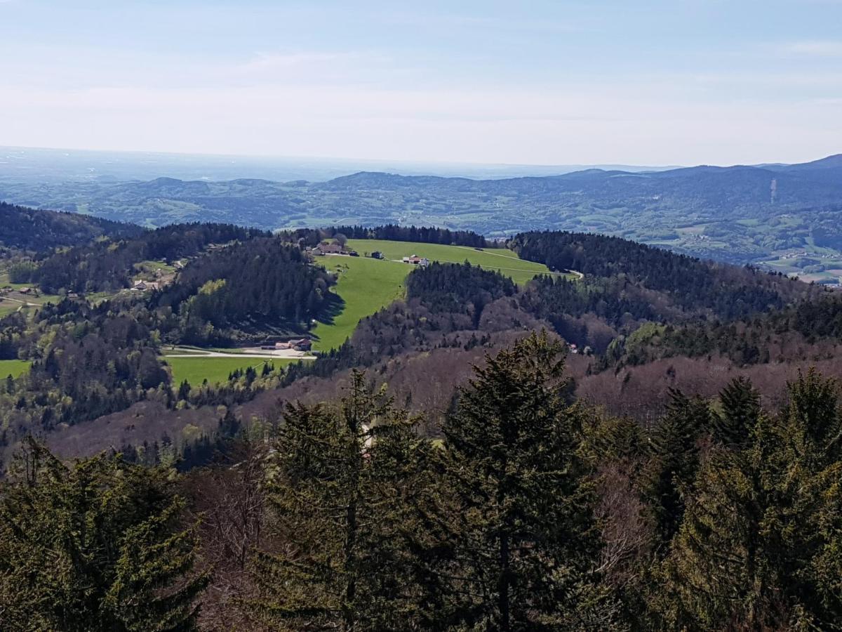 Ferienwohnung 32 Im Ferienland Sonnenwald - Bayerischer Wald Schöfweg 외부 사진